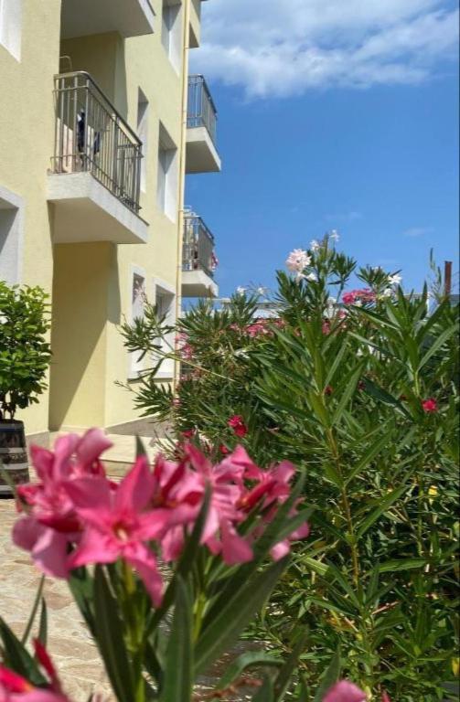Byala Friendy Sea Apartaments Zewnętrze zdjęcie